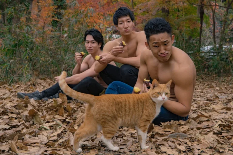 撮影中に、猫ちゃんが登場（SNSで話題になった素材の代表画像）